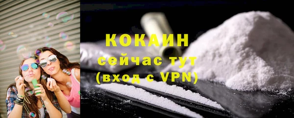первитин Богородицк