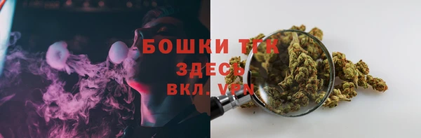 первитин Богородицк
